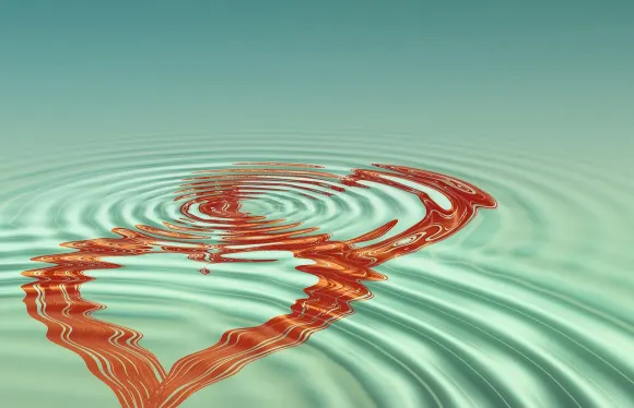 Tigergaming Casino Stuðningur